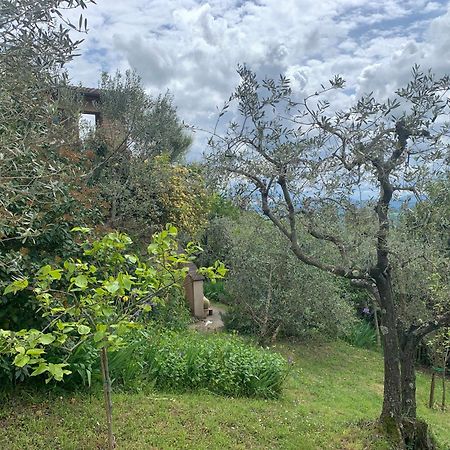 Podere Casallorto Βολτέρρα Εξωτερικό φωτογραφία