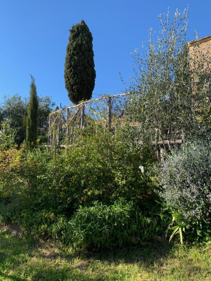 Podere Casallorto Βολτέρρα Εξωτερικό φωτογραφία